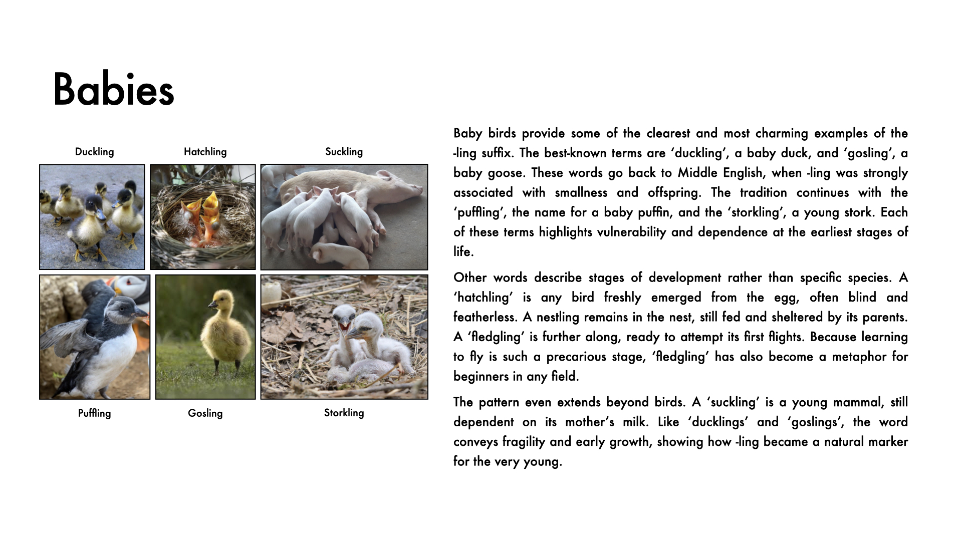 Week 2 Page 3